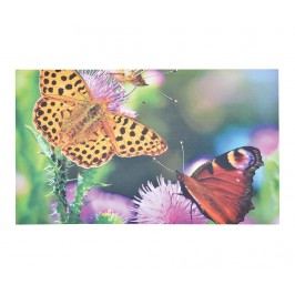 Rohožka Butterfly 45.5x76 cm