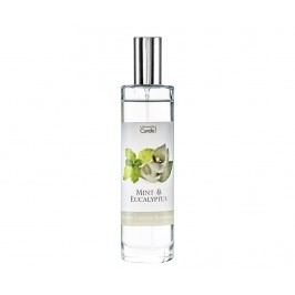 Pokojový sprej Mint and Eucalyptus 100 ml