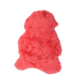 Jehněčí kožešina Icelandic Short Coral 55x100 cm