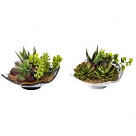 Sada 2 umělých květin v květináči White Cactus