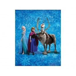 Pléd Disney Frozen Team 130x160 cm