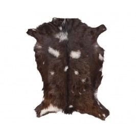 Koberec Aert 82x110 cm