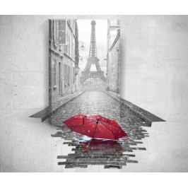 Obraz 3D Effect Paris 40x60 cm