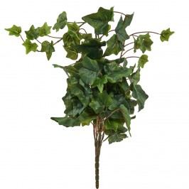 FLORISTA Břečťan