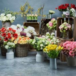 Obrázek FLORISTA Růže 64 cm - červená Umělé květiny