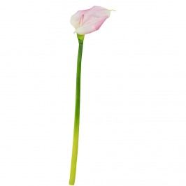 FLORISTA Kala, 55 cm - fialová