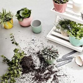 Obrázek BLOOMY Květináč 7,8 cm - mátová Dekorativní vázy