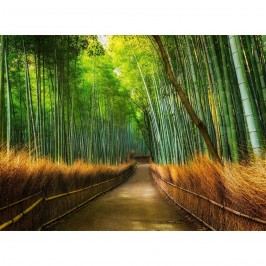 Up and Down Fototapeta Bamboo, 232 x 315 cm