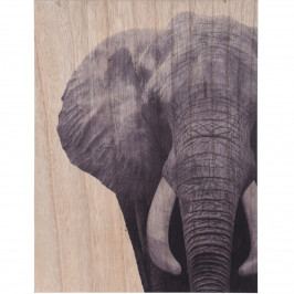 Obrázek Obraz na dřevě Elephant, 28 x 38 cm Obrazy