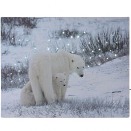 Obrázek LED Obraz na plátně Bears in winter, 40 x 30 cm Obrazy
