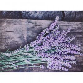 Obrázek Obraz na plátně Nantes Lavender, 78 x 58,5 cm Obrazy