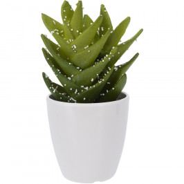 Koopman Umělý kaktus v květináči Acambaro, 15 cm