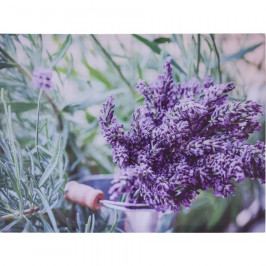 Obraz na plátně Amiens Lavender, 78 x 58,5 cm