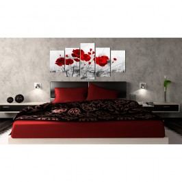 Obrázek Obraz na plátně Bimago Red Miracle 100 x 50 cm Obrazy, rámy a tabule