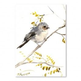 Autorský plakát Bushtit od Surena Nersisyana, 30 x 21 cm