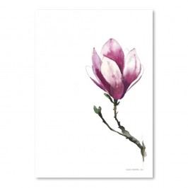 Plakát Americanflat Magnolia II by Claudia Libenberg, 30 x 42 cm