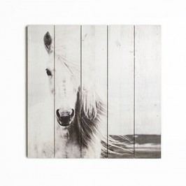 Dřevěný obraz Graham & Brown Horse, 50 x 50 cm