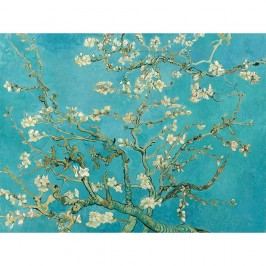 Obrázek Reprodukce obrazu Vincenta van Gogha - Almond Blossom, 40 x 30 cm Obrazy, rámy a tabule