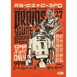Obrázek Nástěnná cedule PosterPlate Star Wars Legends - Droids Obrazy, rámy a tabule