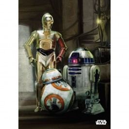 Nástěnná cedule Episode VII - Droids