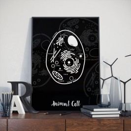 Černý plakát Follygraph Animal Cell, 30 x 40 cm