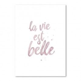 Obrázek Plakát Leo La Douce La Vie Est Belle, 29,7 x 42 cm Obrazy, rámy a tabule