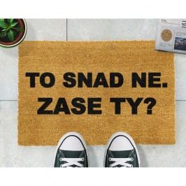 Rohožka Artsy Doormats Zase ty?, 40 x 60 cm