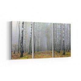 3-dílný obraz Birch, 30 x 60 cm