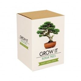 Pěstitelský set se semínky bonsaje Gift Republic Bonsai Trees