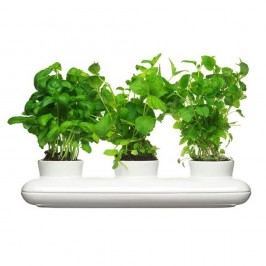Obrázek Porcelánový květináč na bylinky Sagaform Trio Herb Vázy, sošky, květináče