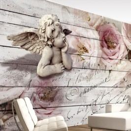 Obrázek Velkoformátová tapeta Bimago Angel And Calm, 350 x 245 cm Tapety a nálepky