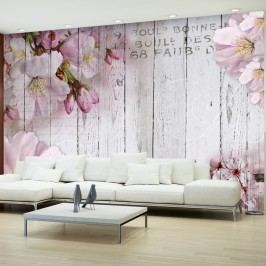 Velkoformátová tapeta Bimago Apple Blossoms, 300 x 210 cm