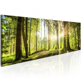 Obrázek Obraz na plátně Bimago Daylight 135 x 45 cm Obrazy, rámy a tabule