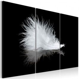 Vícedílný obraz na plátně Artgeist Feather, 120 x 80 cm
