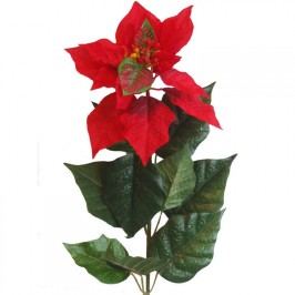 Vánoční hvězda (Poinsettia) 60 cm