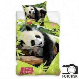 Dětské ložní povlečení Animal planet panda 140 x 200 cm, 70 x 90 cm